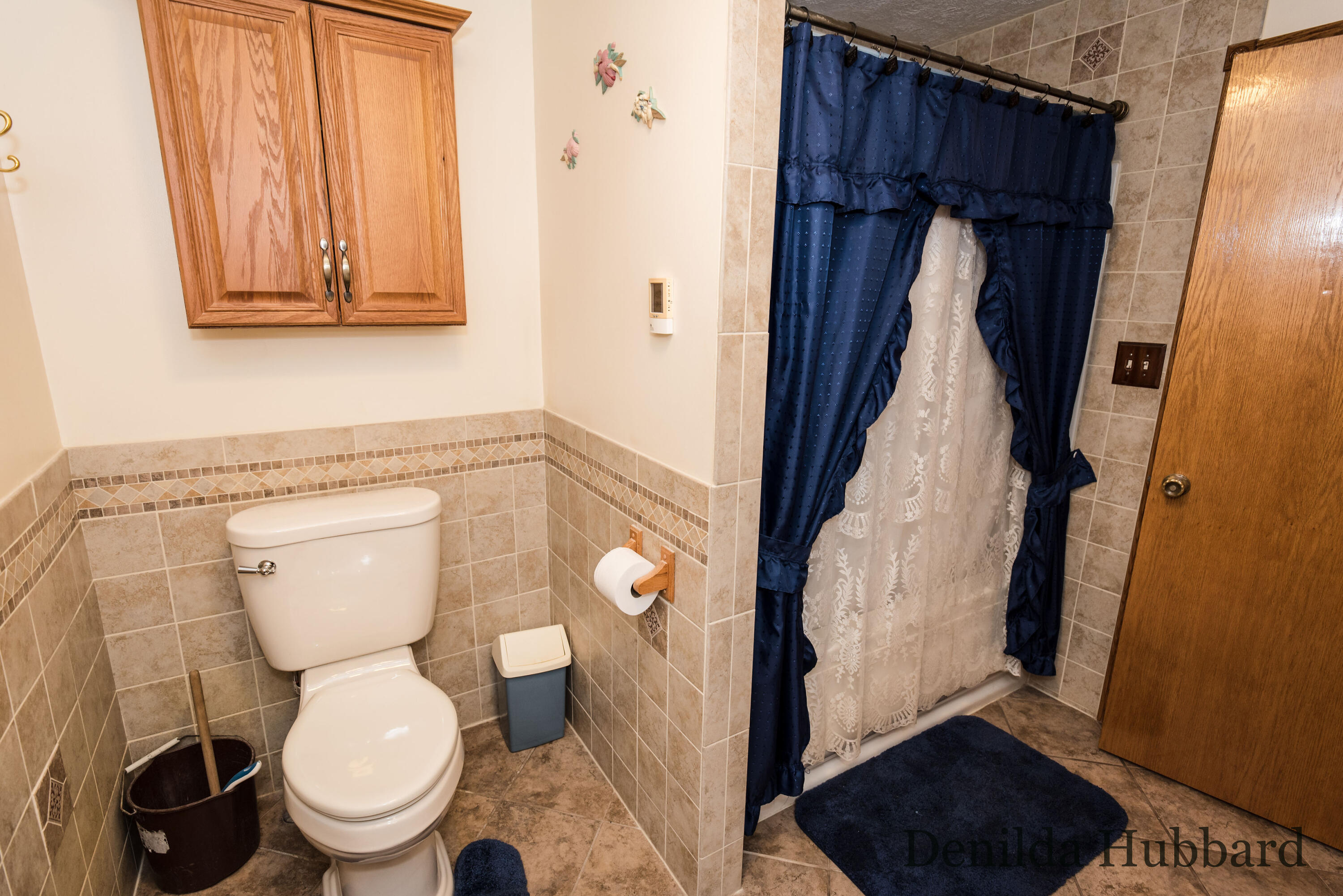 6303 West Briggs Road Stanton, MI 48888 - Photo 41 of 61 DSC_4973