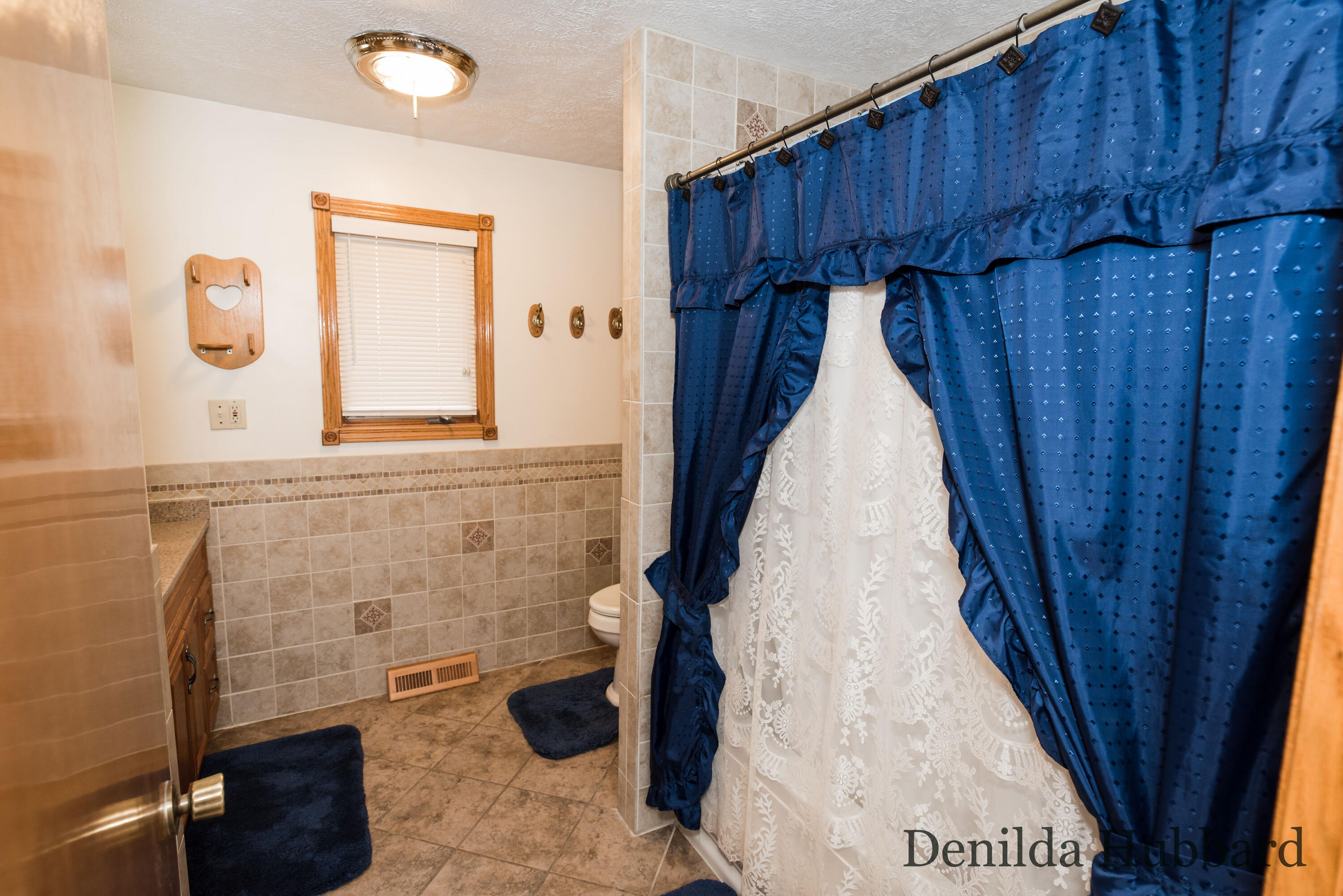 6303 West Briggs Road Stanton, MI 48888 - Photo 43 of 61 DSC_4967