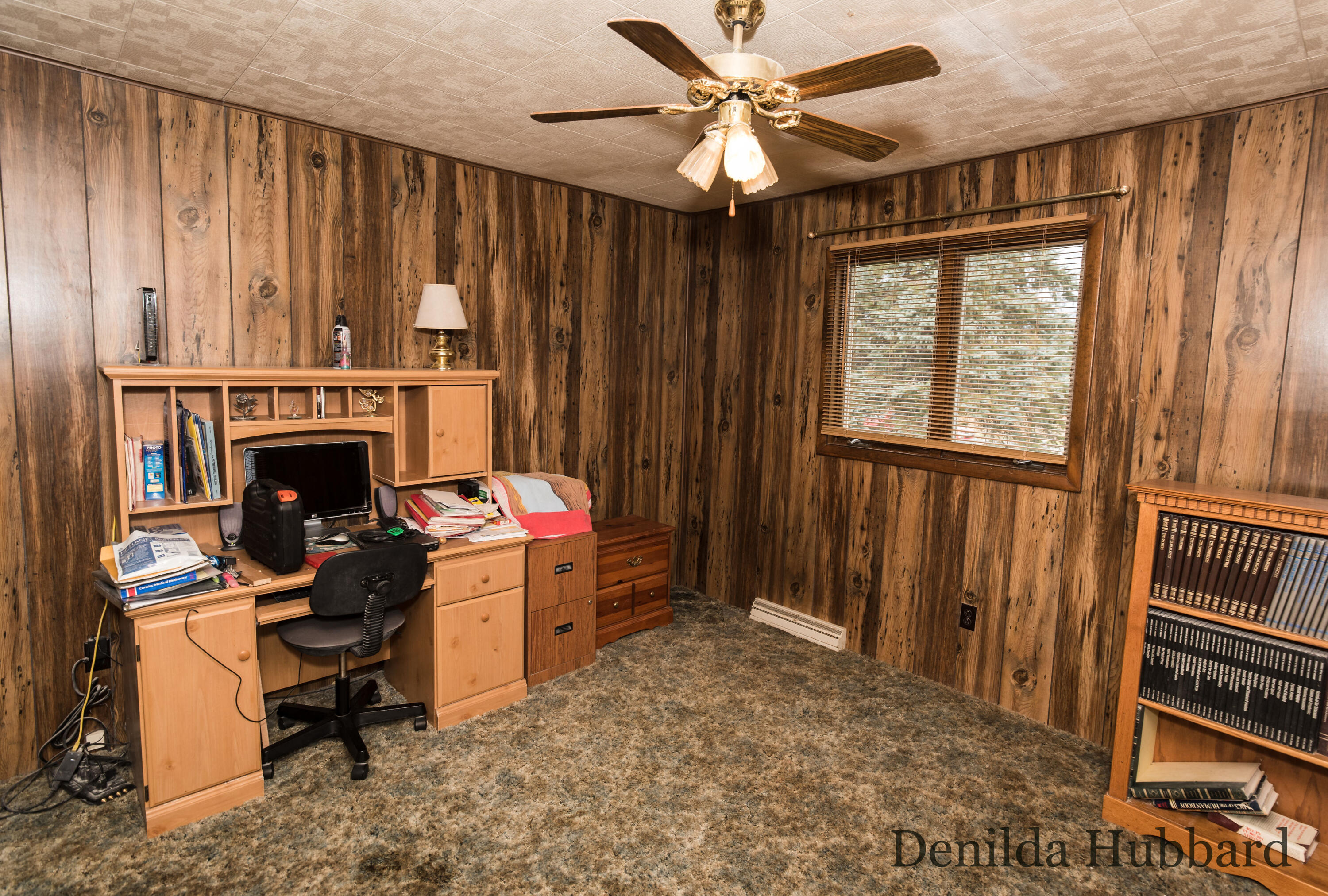 6303 West Briggs Road Stanton, MI 48888 - Photo 46 of 61 DSC_4987