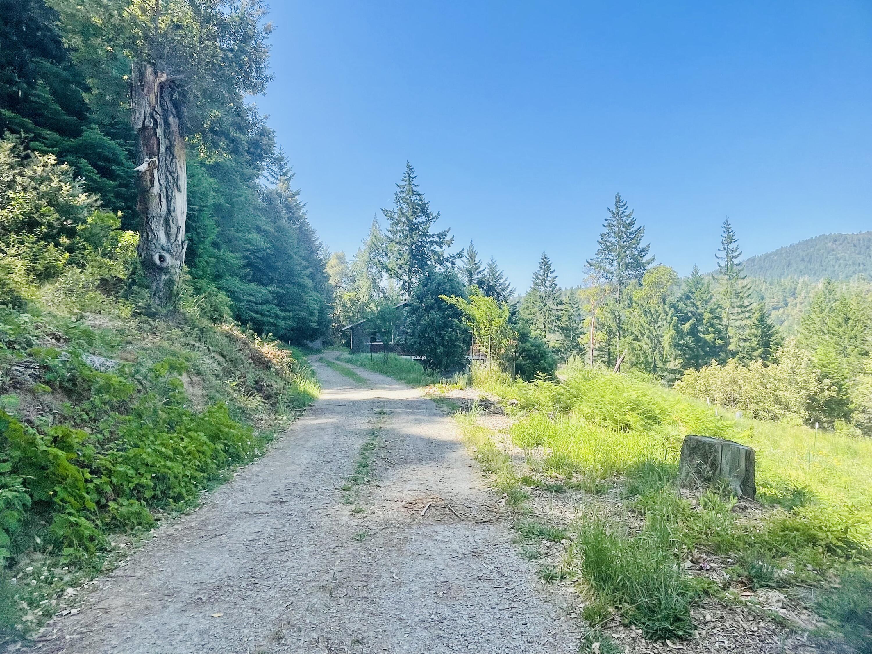 360 Graycliff Road Garberville, CA 95542 - Photo 59 of 63