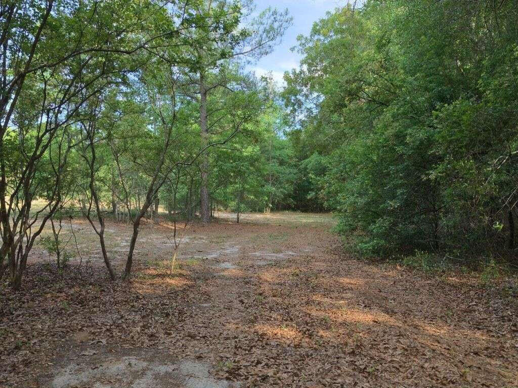3 Holiness Church Road Wagener, SC 29164 - Photo 12 of 14 Gallery Image 12