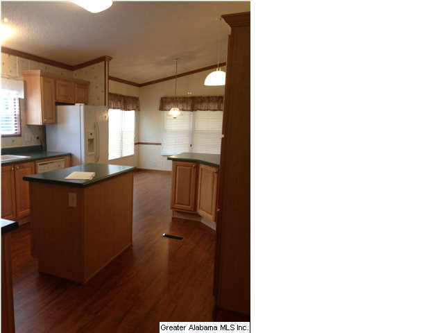 5055 Cragford Road Ashland, AL 36251 - Photo 4 of 24