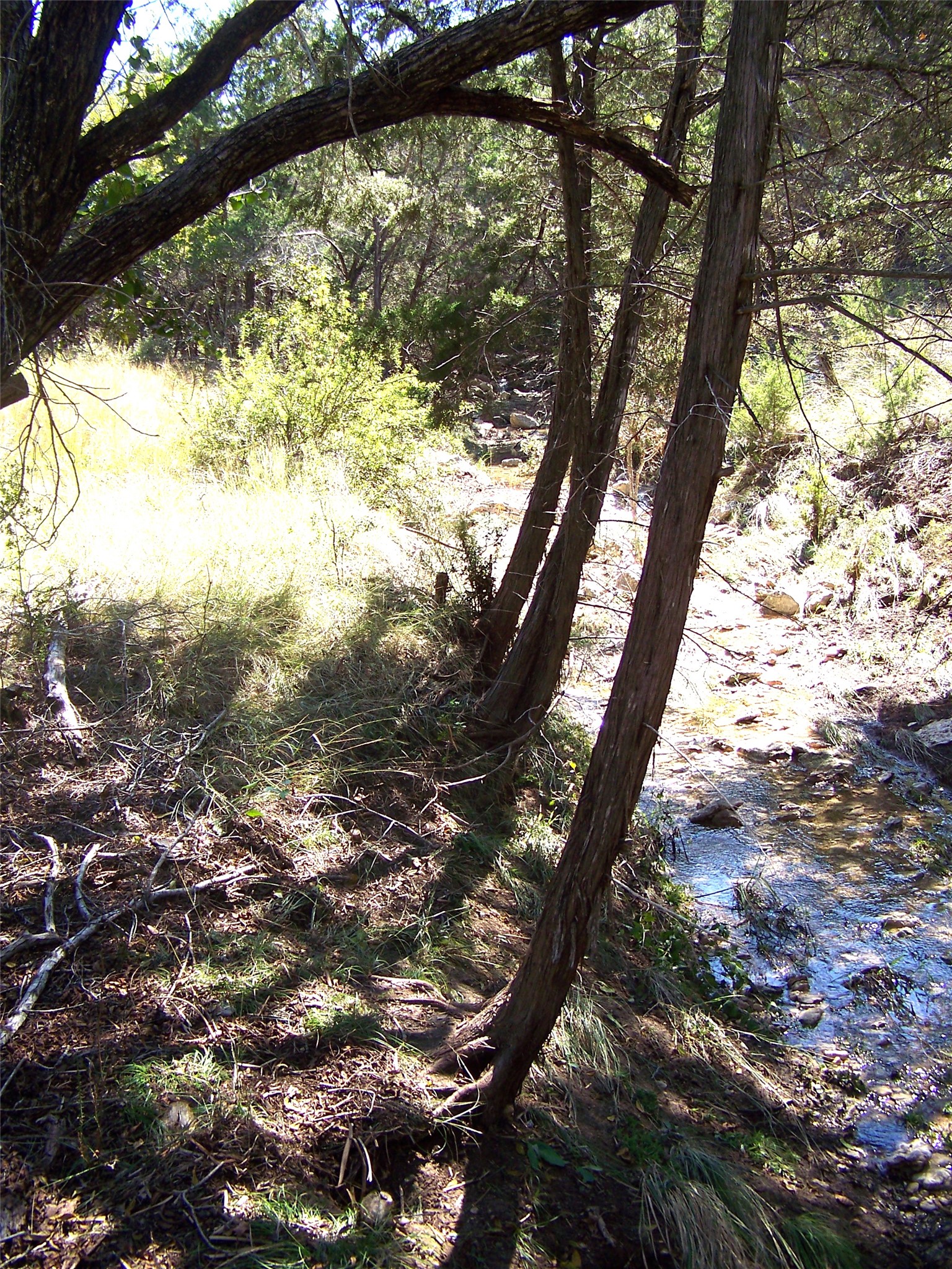 370 B Kothmann Road Dripping Springs, TX 78620 - Photo 2 of 31 Wet weather shaded beautiful creeks both run when it rains for a while.