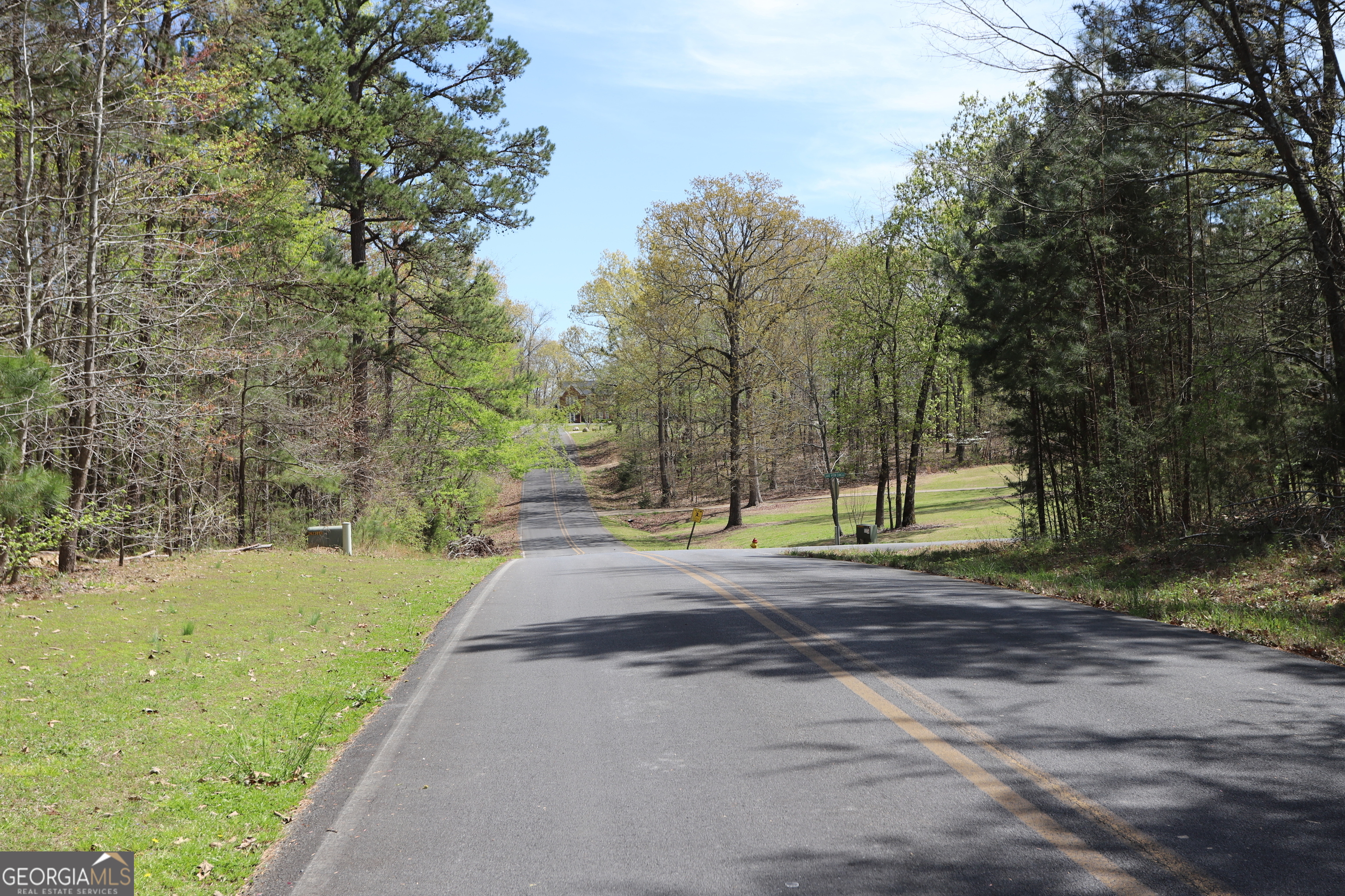 0 Lake View Circle Summerville, GA 30747 - Photo 13 of 17