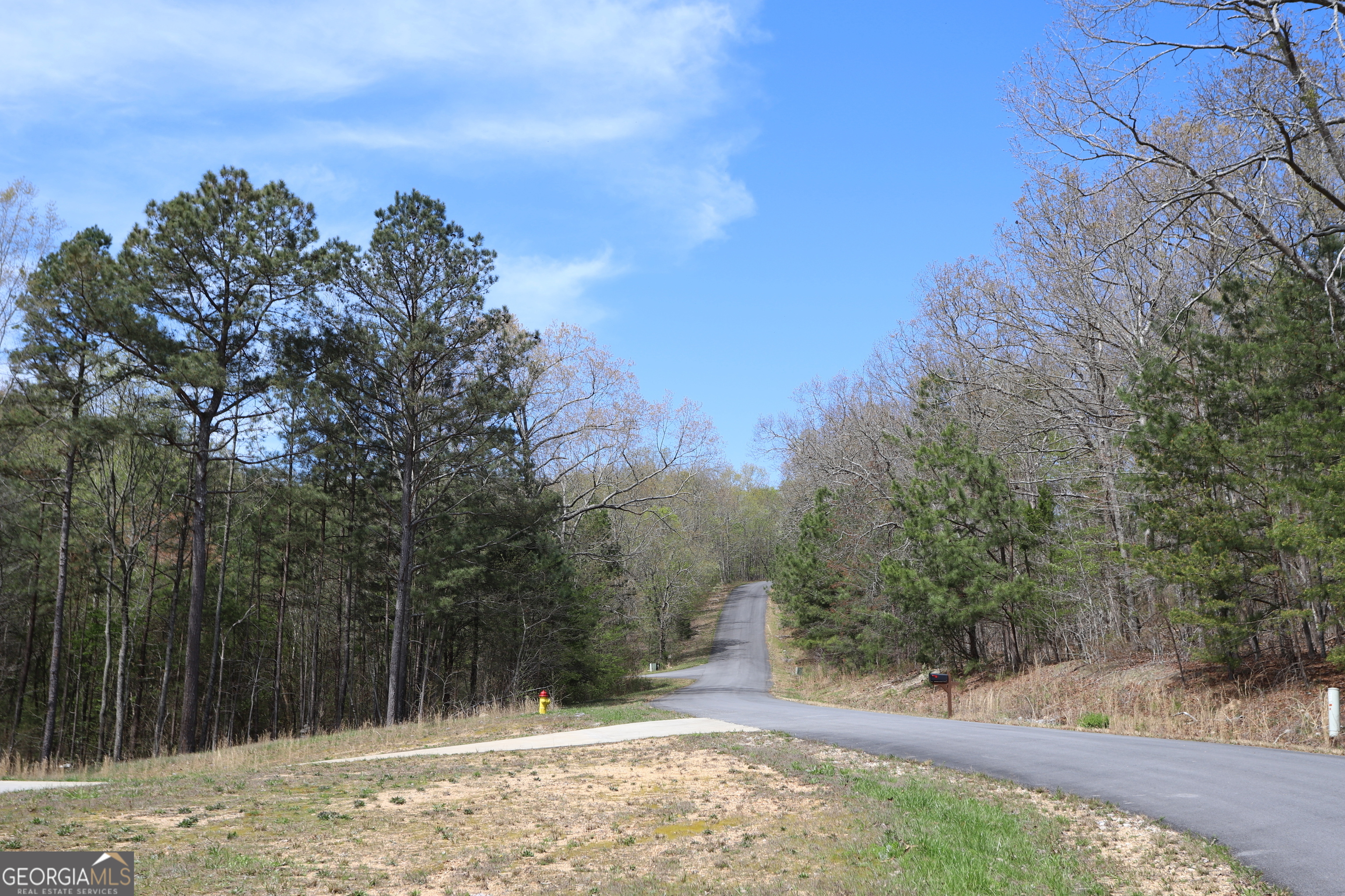 0 Lake View Circle Summerville, GA 30747 - Photo 16 of 17