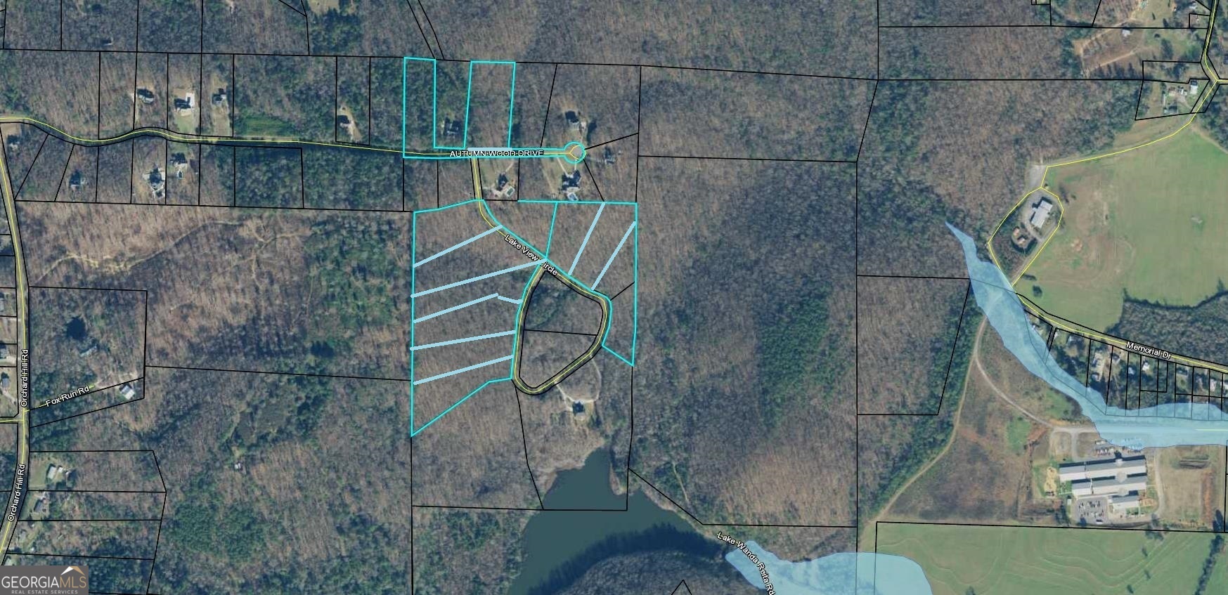 0 Lake View Circle Summerville, GA 30747 - Photo 4 of 17