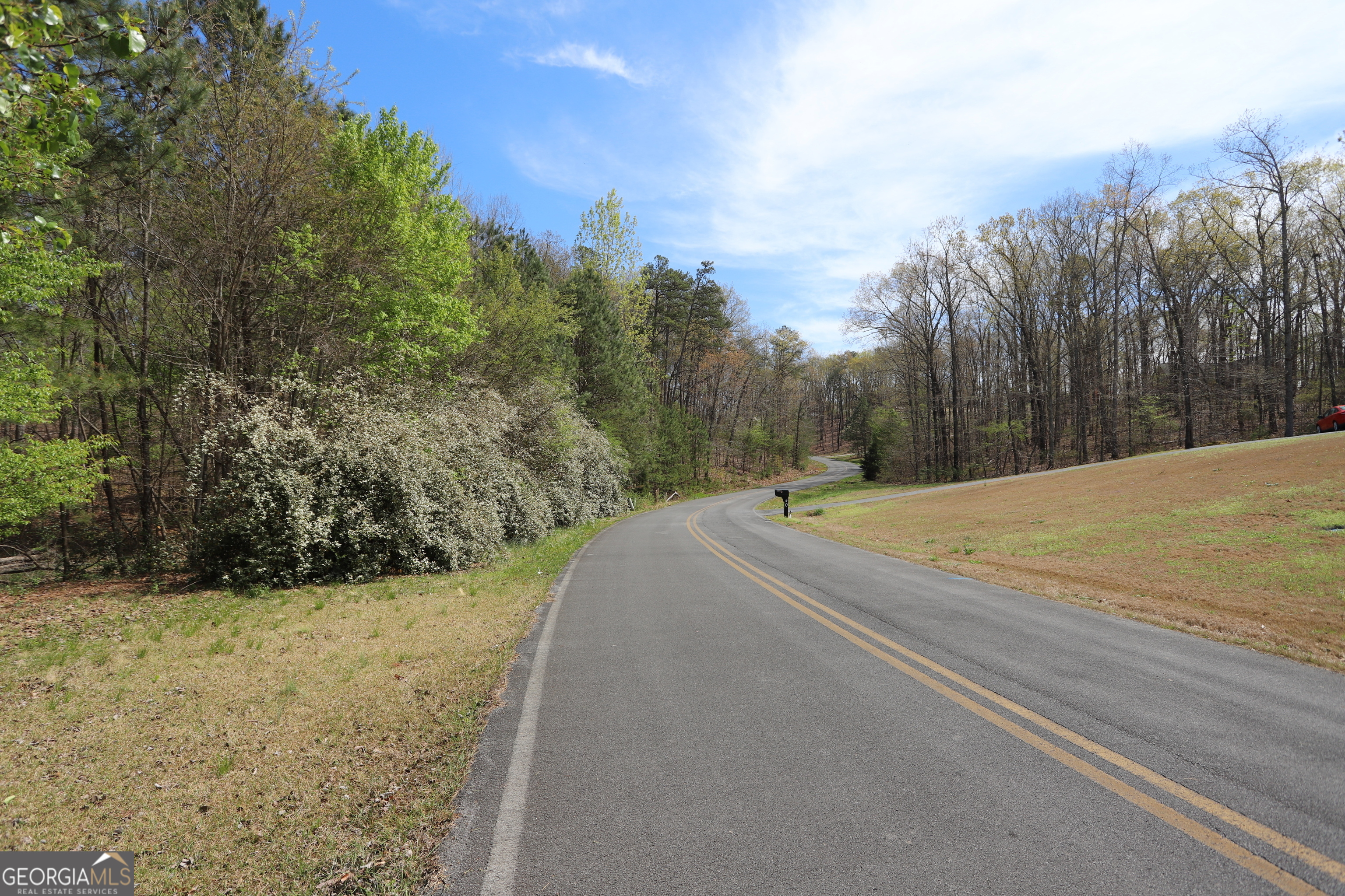 0 Lake View Circle Summerville, GA 30747 - Photo 9 of 17
