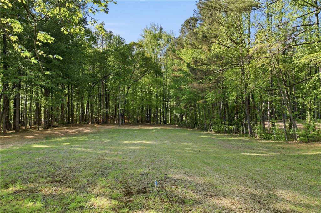2400 Trinity Church Road Canton, GA 30115 - Photo 3 of 8 a big yard with lots of green space and trees