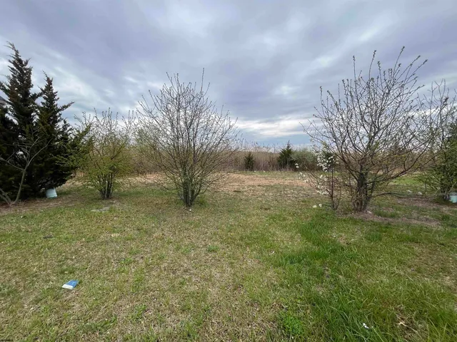 a view of a yard with a tree