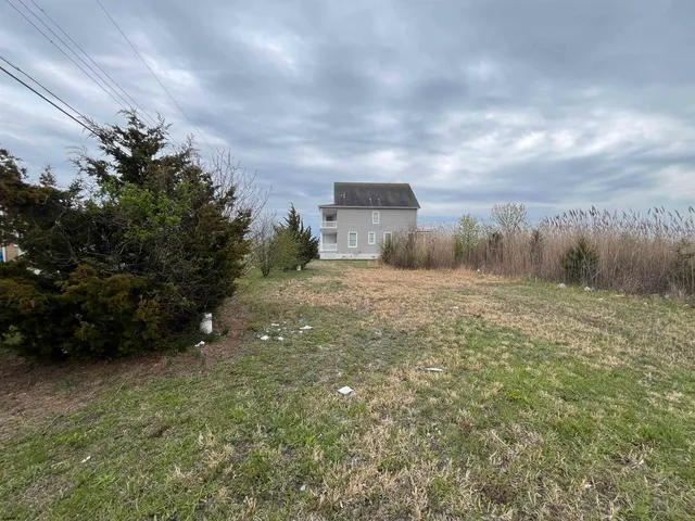 a view of a dry yard with trees