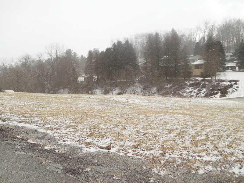 Broughton Rd Park Pittsburgh, PA 15236 - Photo 10 of 25 Land/Lot.
