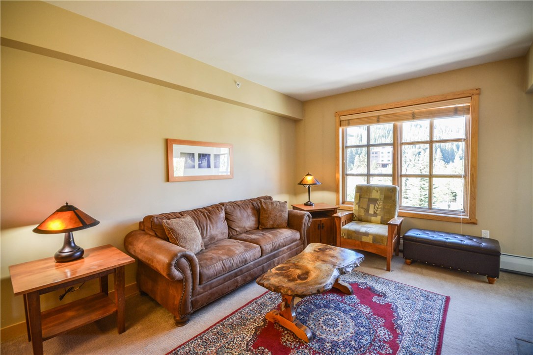 910 Copper Road, Unit 317 Frisco, CO 80443 - Photo 3 of 25 Gallery Image 3