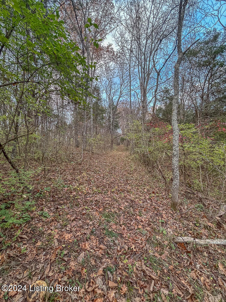 10603 Broad Run Road Louisville, KY 40299 - Photo 46 of 49 10-10603 -10