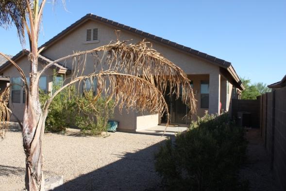 44456 West Eddie Way Maricopa, AZ 85138 - Photo 6 of 6 Yard