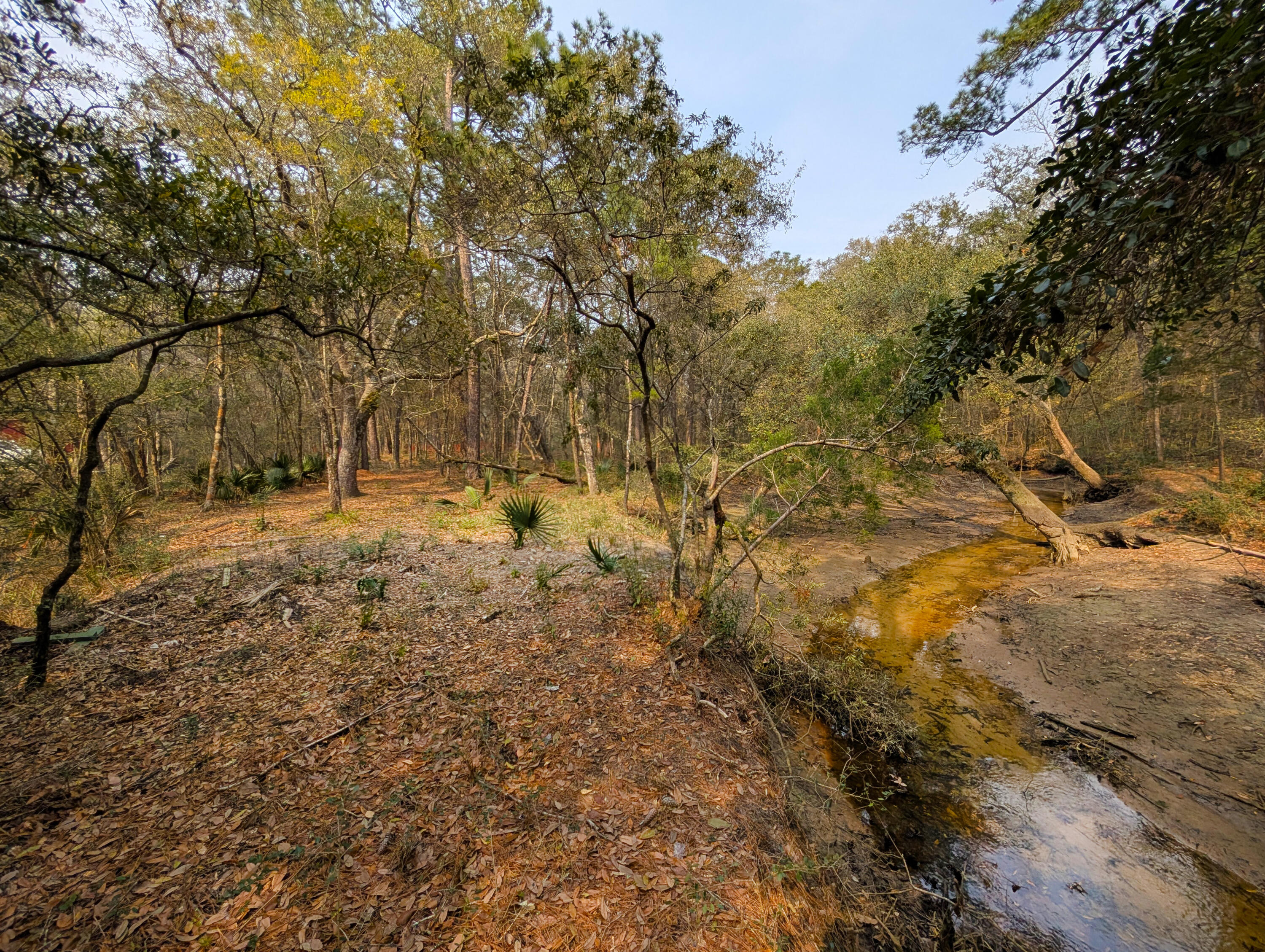 245 Warren Drive McClellanville, SC 29458 - Photo 11 of 14 10