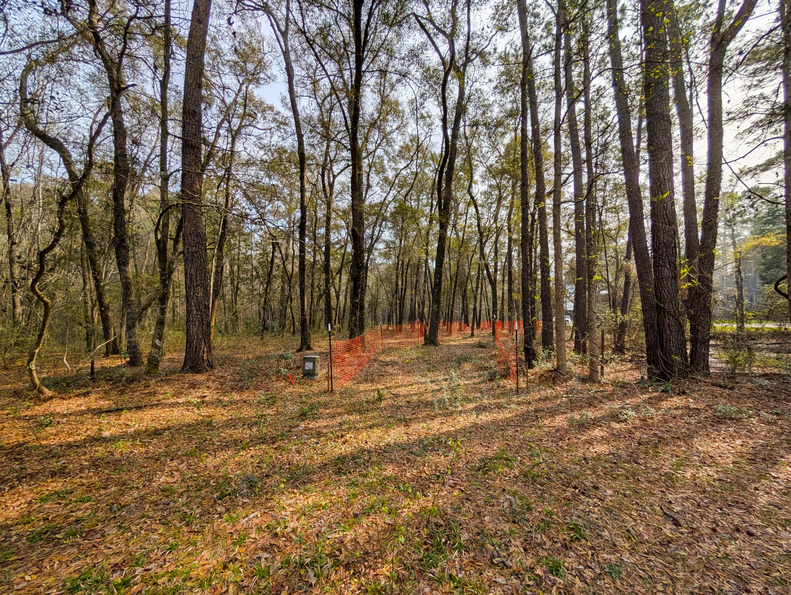 245 Warren Drive McClellanville, SC 29458 - Photo 3 of 14 2
