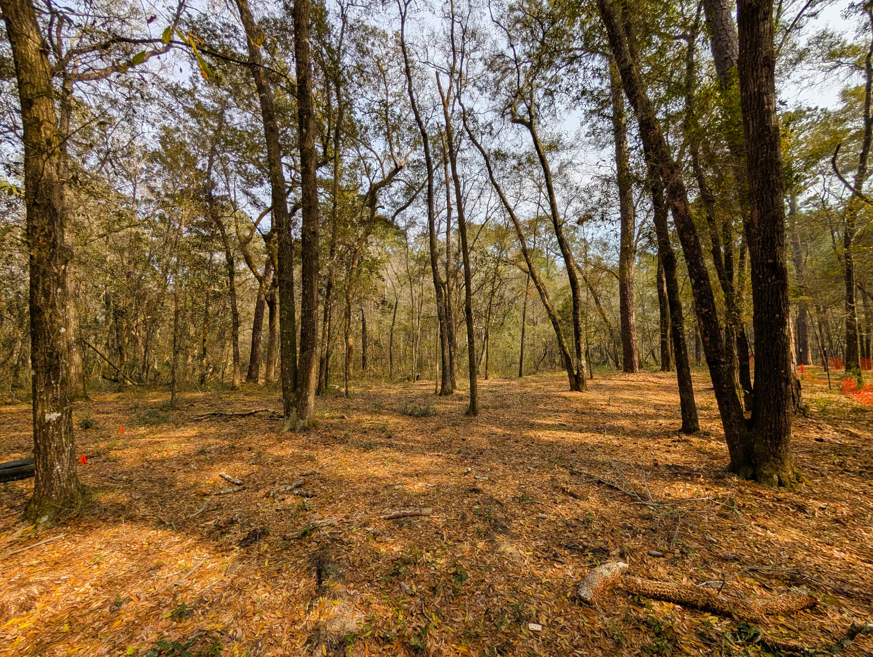 245 Warren Drive McClellanville, SC 29458 - Photo 4 of 14 3