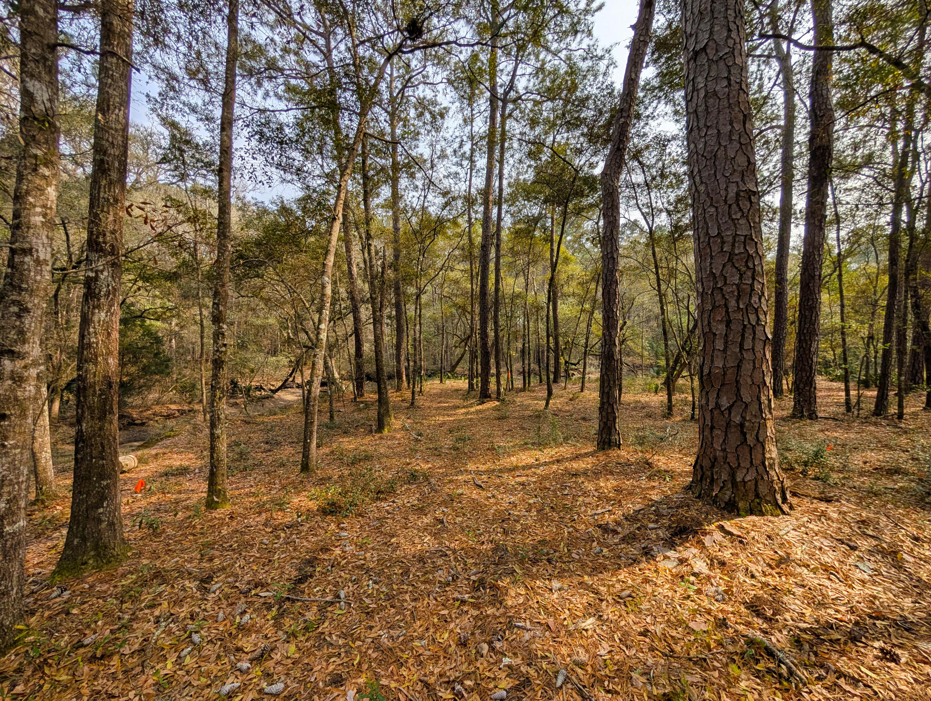245 Warren Drive McClellanville, SC 29458 - Photo 5 of 14 4