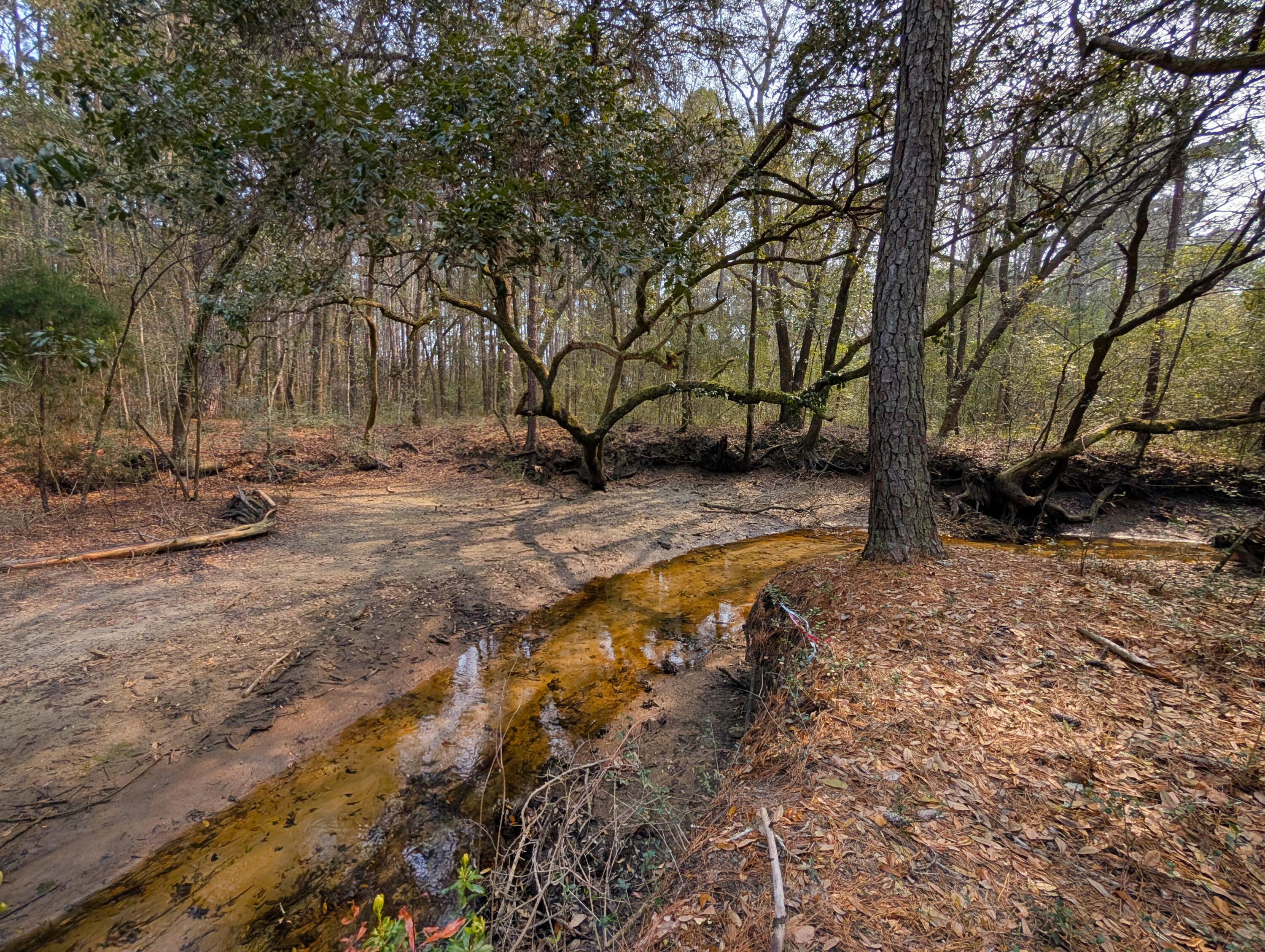 245 Warren Drive McClellanville, SC 29458 - Photo 10 of 14 9