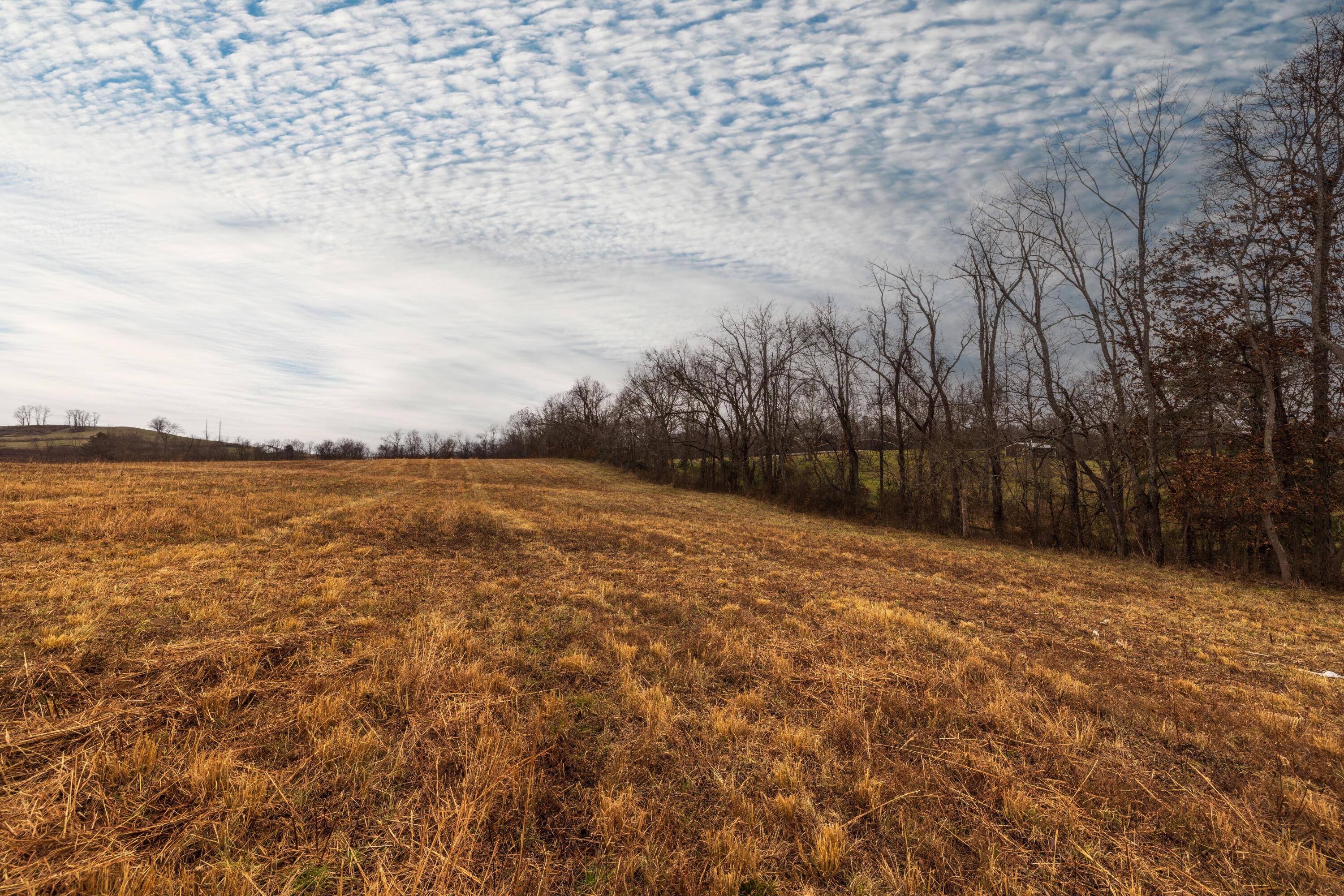 0 Hebbardsville Road Albany, OH 45710 - Photo 9 of 18 JZP_HebardvilleRoad_003