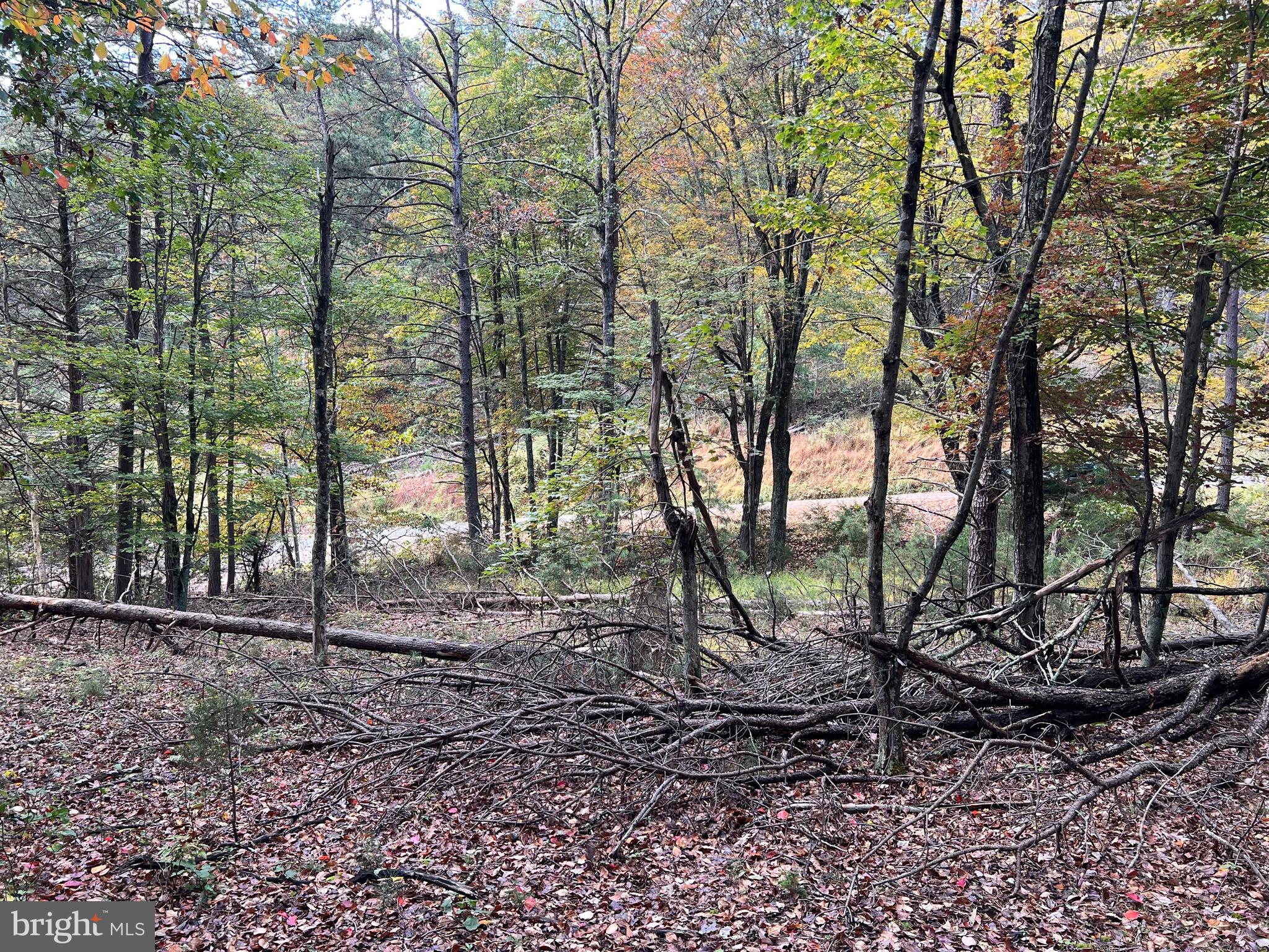 Lot 6 Deep Run Hollow Road Delray, WV 26714 - Photo 6 of 18 a view of a house with a backyard