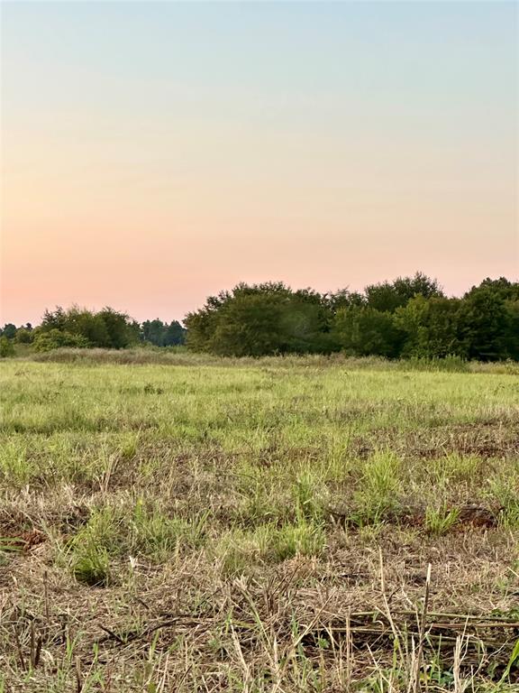 2174 Sulphur Springs Sulphur Springs, TX 75482 - Photo 6 of 7 a view of a field with an ocean view