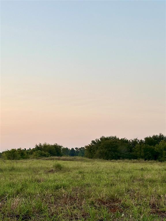 2174 Sulphur Springs Sulphur Springs, TX 75482 - Photo 7 of 7 a view of a field with grass and a trees