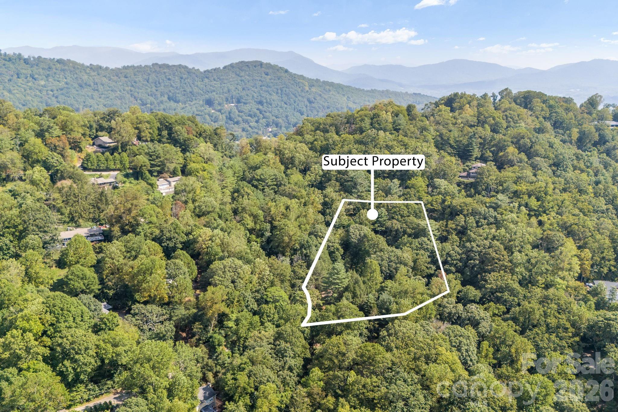 165 Cherokee Road Asheville, NC 28804 - Photo 4 of 37 Gallery Image 4