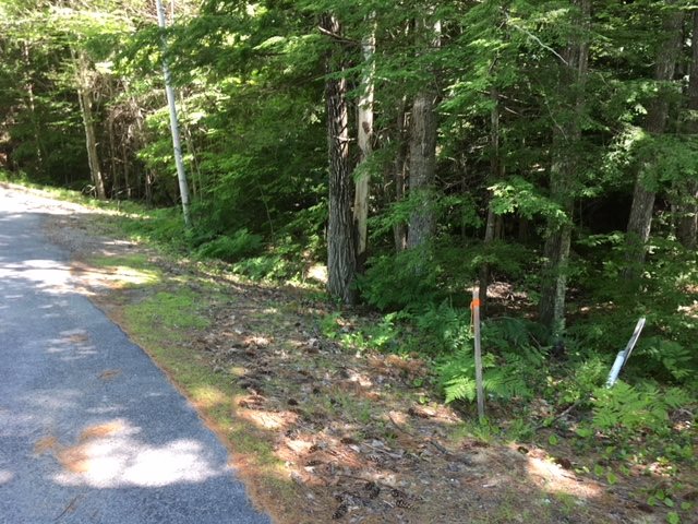 Red Pine Road Meredith, NH 03253 - Photo 1 of 8