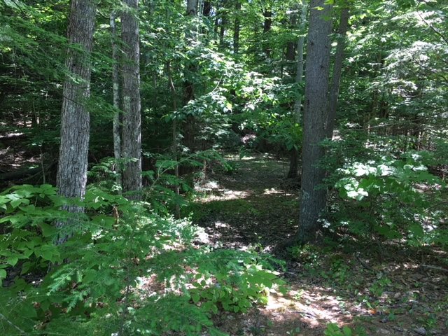 Red Pine Road Meredith, NH 03253 - Photo 5 of 8
