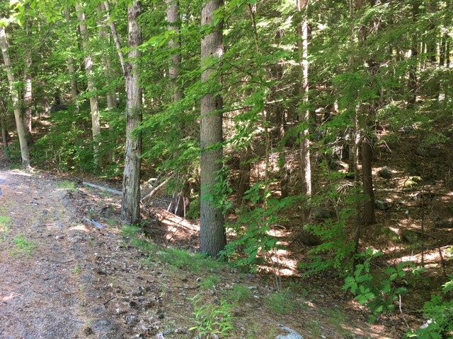Red Pine Road Meredith, NH 03253 - Photo 6 of 8