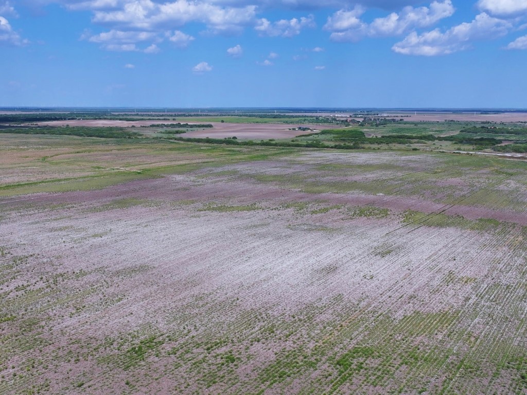 Tbd County Rd 1070 South Kingsville, TX 78363 - Photo 4 of 12 a view of an ocean beach
