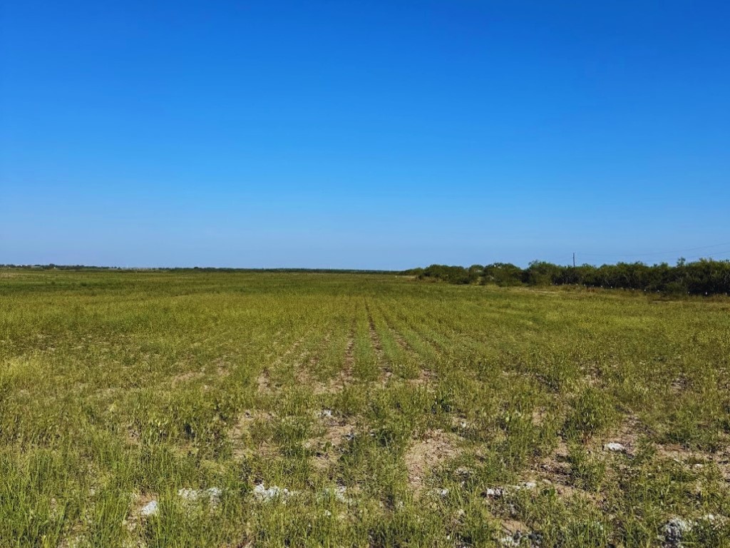 Tbd County Rd 1070 South Kingsville, TX 78363 - Photo 8 of 12 a view of an ocean