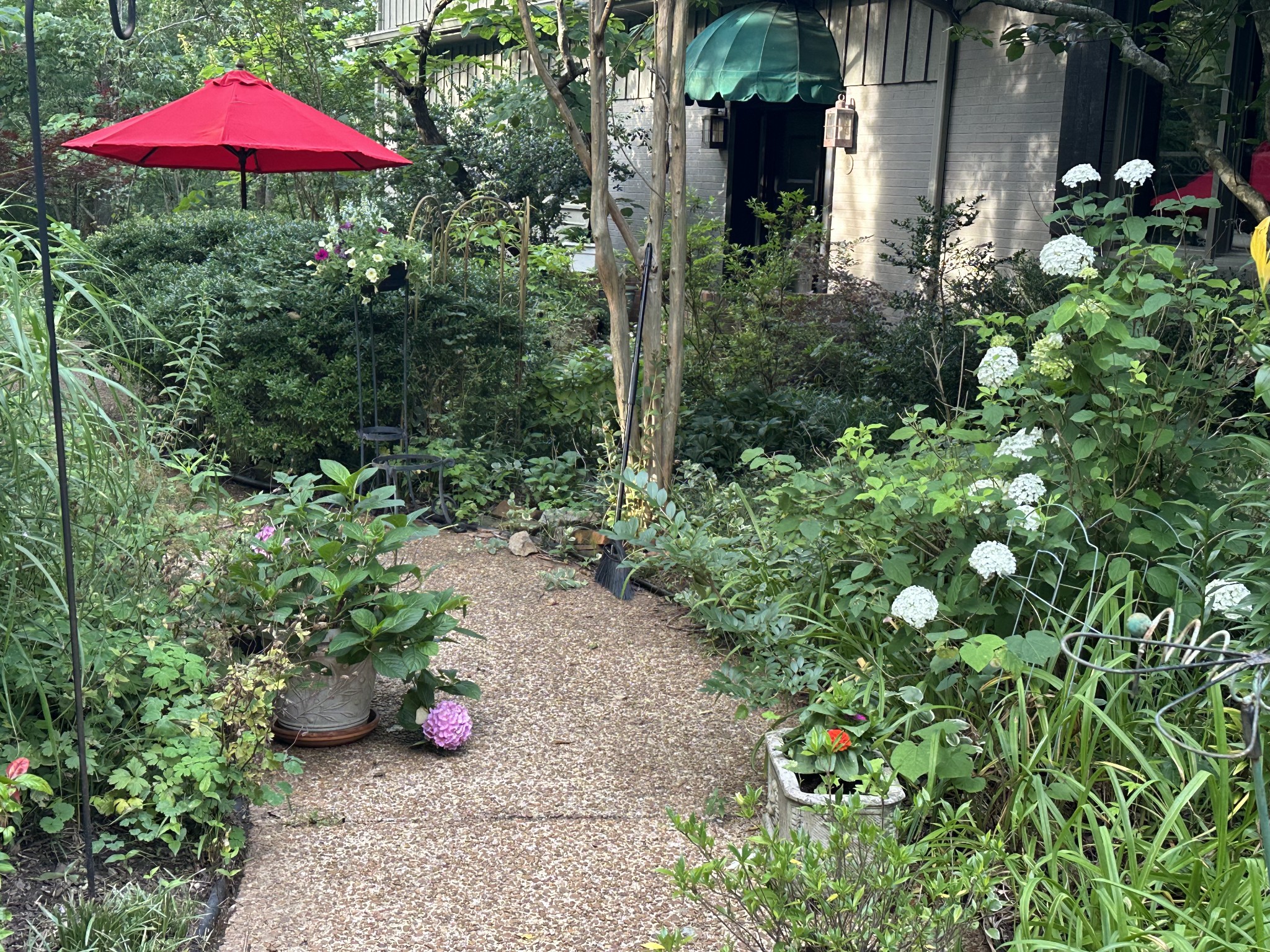 a view of a garden with plants and a bench under an umbrella