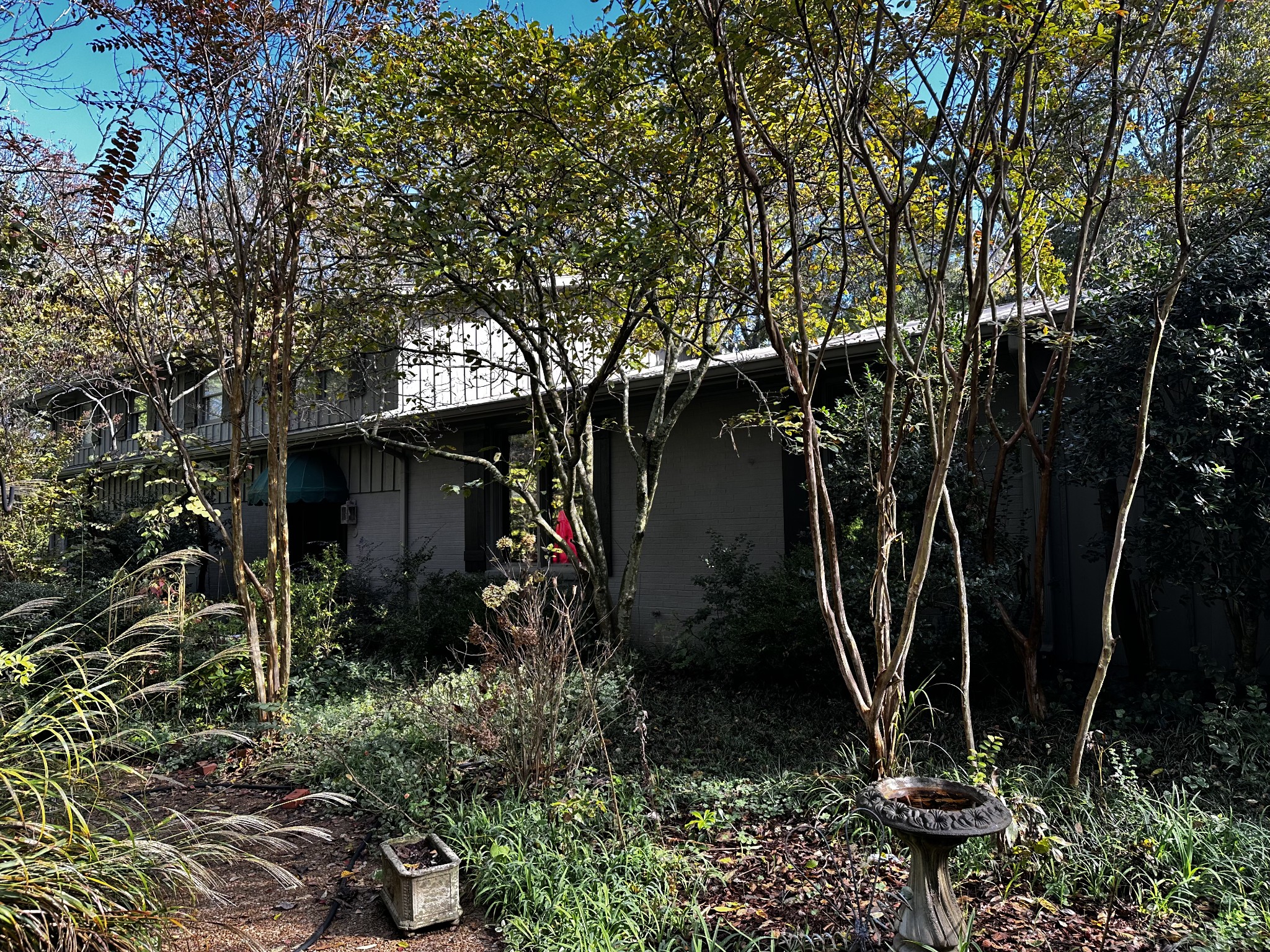 2004 Otter Creek Road Nashville, TN 37215 - Photo 17 of 21 a view of a house with a tree