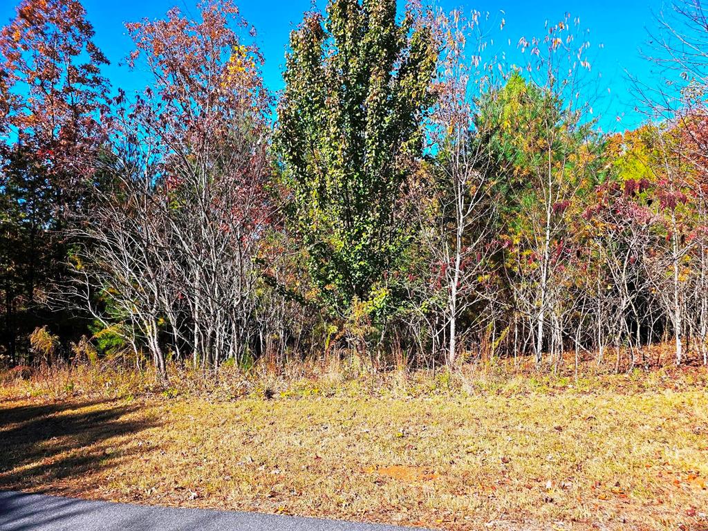 Lot 100 Northeast Pin Oak Ridge Murphy, NC 28906 - Photo 6 of 18