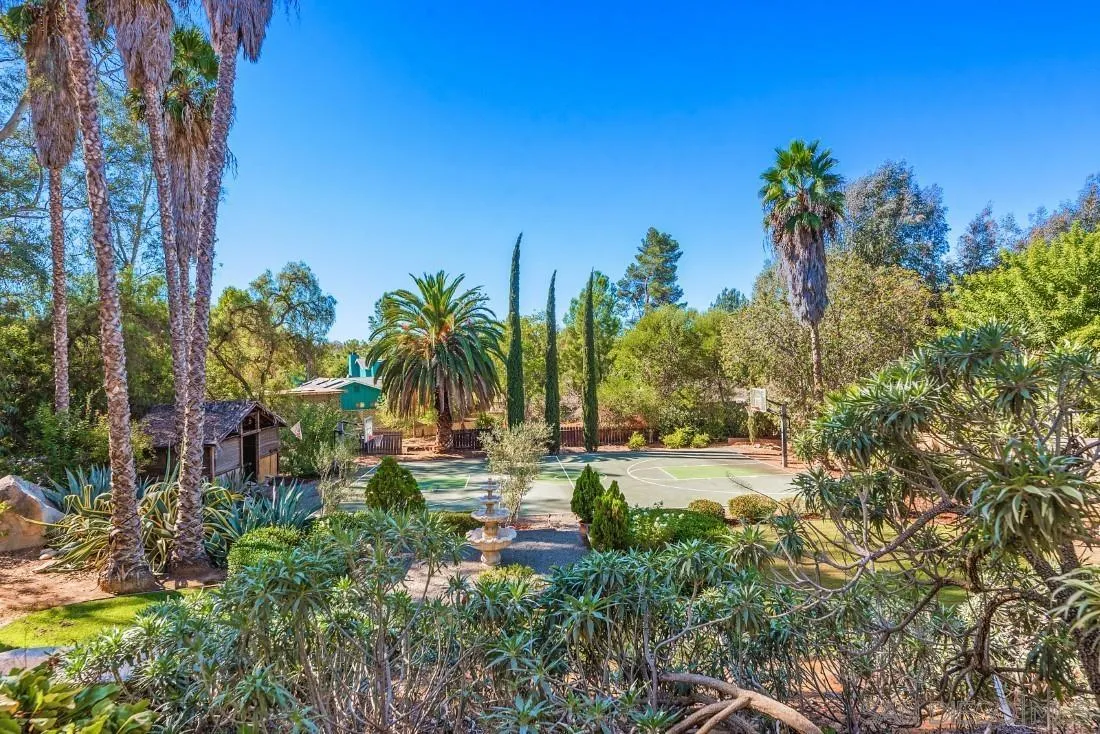 12904 Stone Canyon Road Poway, CA 92064 - Photo 57 of 72 a view of a yard with palm trees