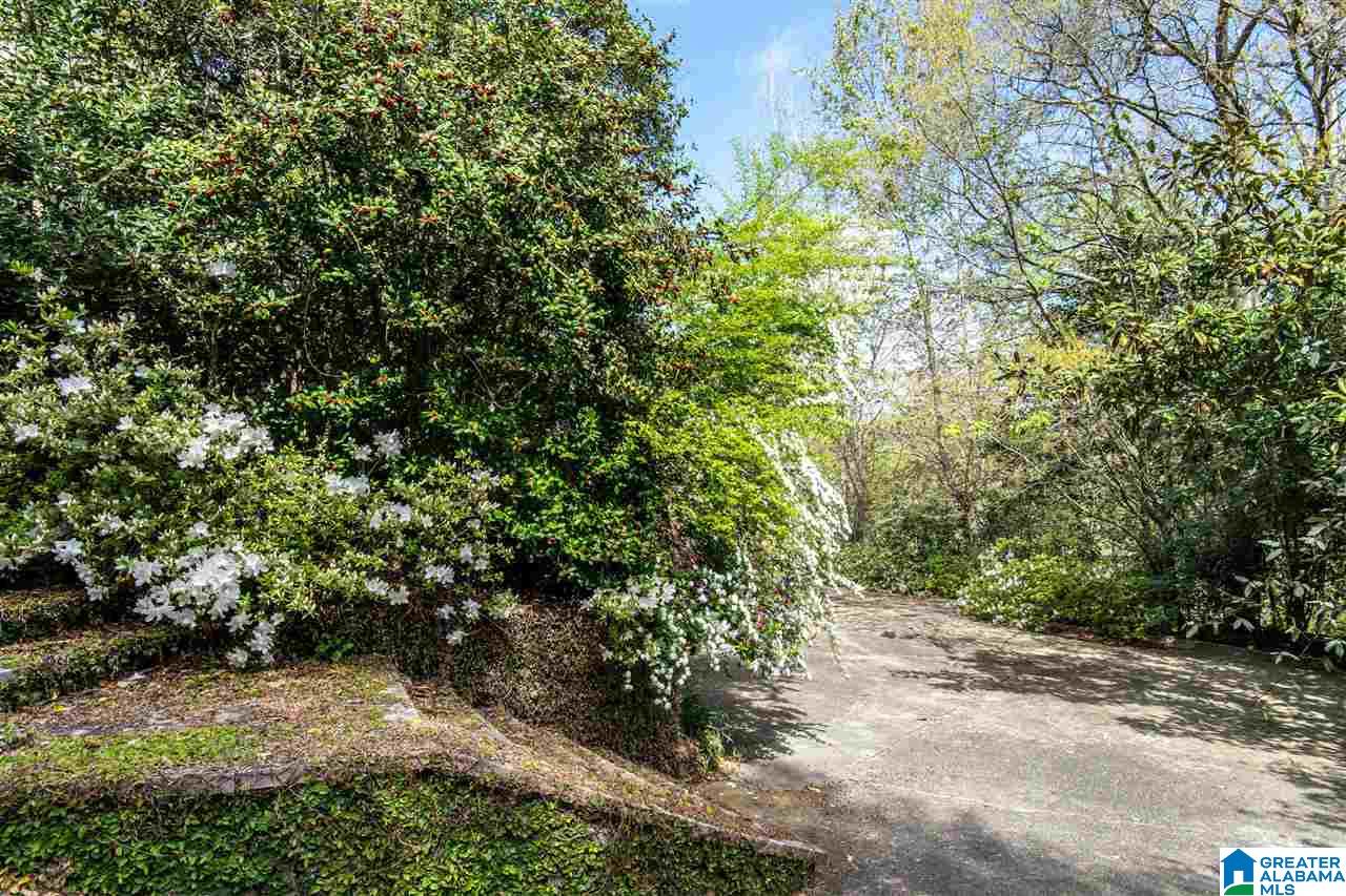 2217 Lane Park Road Birmingham, AL 35223 - Photo 2 of 25