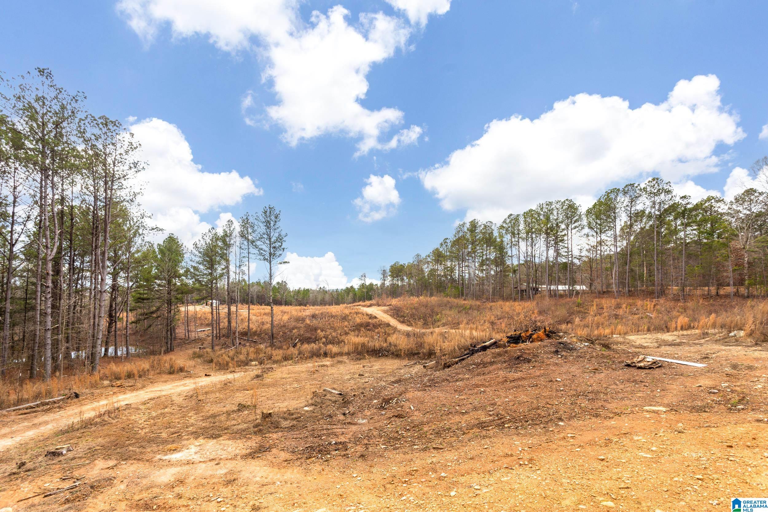 2395 County Road 91 Fruithurst, AL 36262 - Photo 37 of 39
