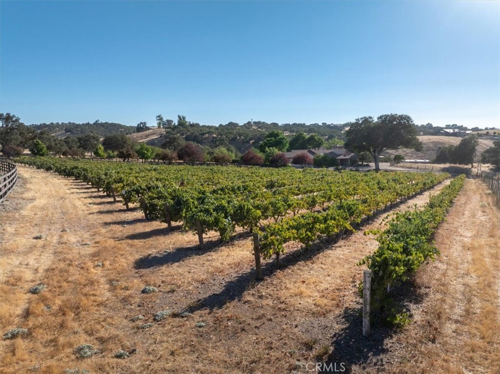 5745 Iron Gate Road Paso Robles, CA 93446 - Photo 56 of 58 +/- 1 Acre Vineyard