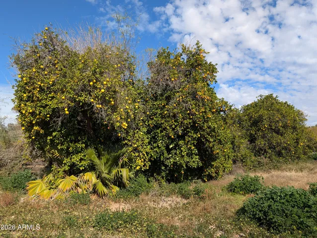 $774,888 | 12630 East Vallejo Street, Chandler, AZ 85249