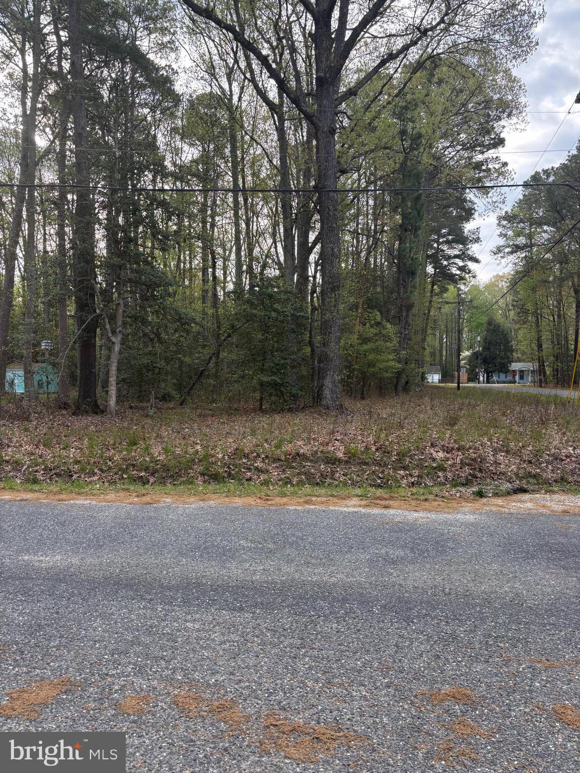 Berkshire Drive Reedville, VA 22539 - Photo 2 of 5 a view of a yard with a tree