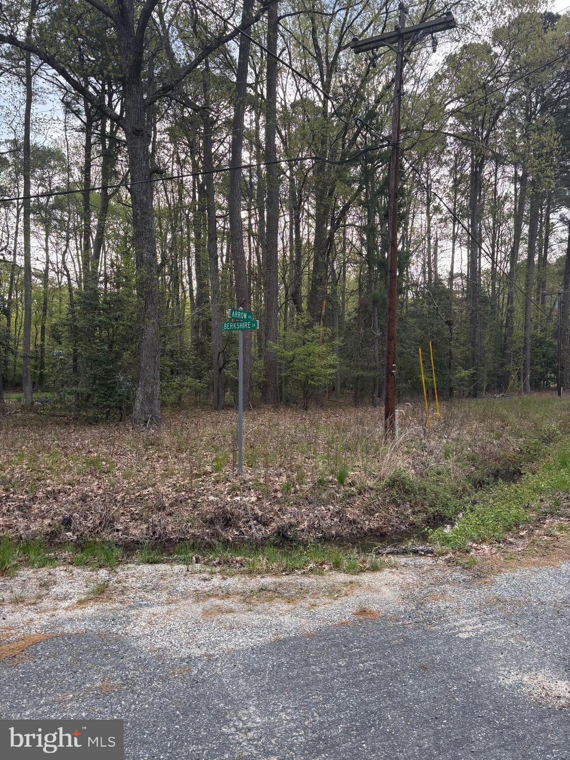 Berkshire Drive Reedville, VA 22539 - Photo 3 of 5 a backyard of a house with lots of green space