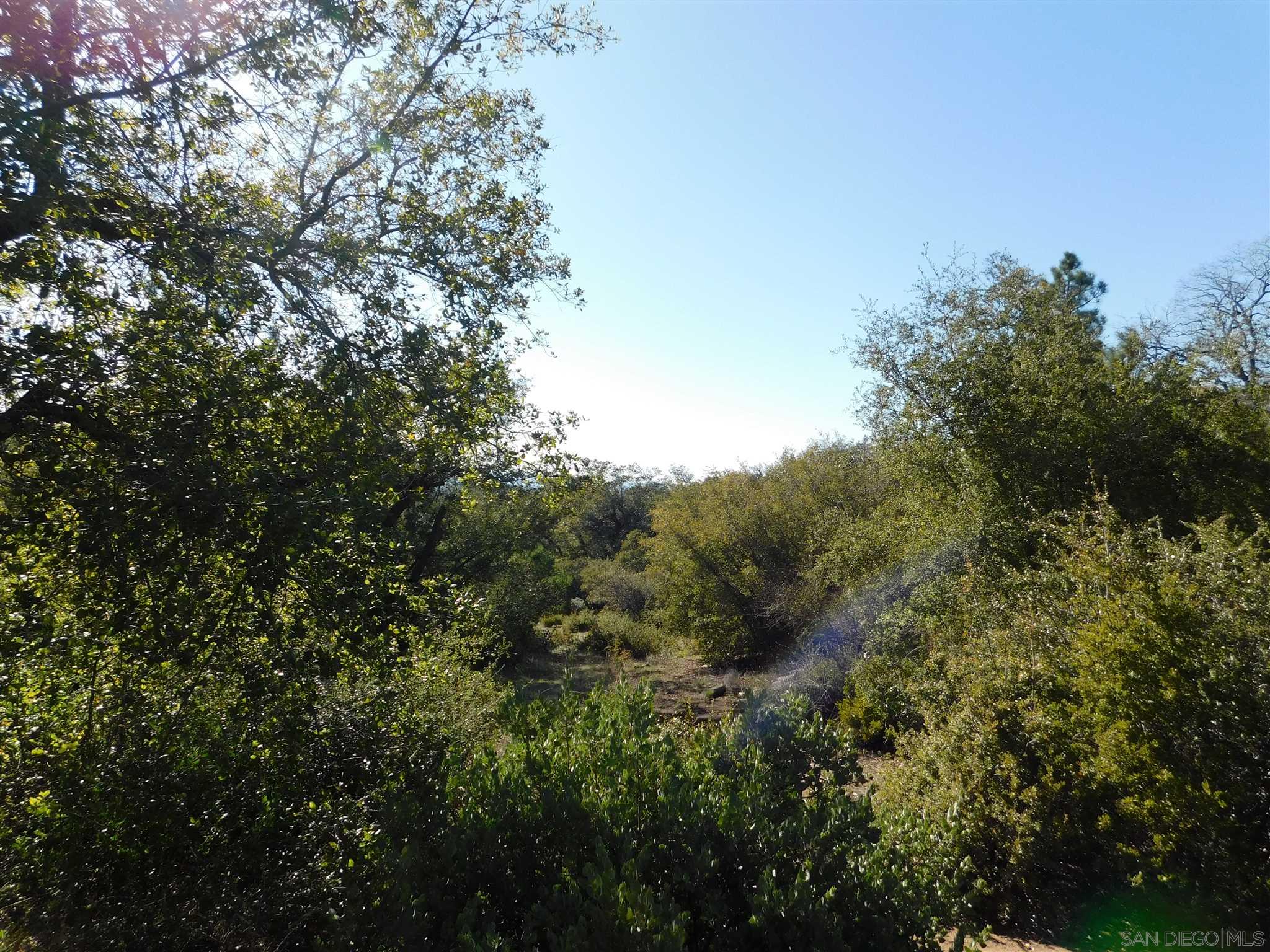 1 Pine Hills Road Julian, CA 92036 - Photo 11 of 19 Gallery Image 11