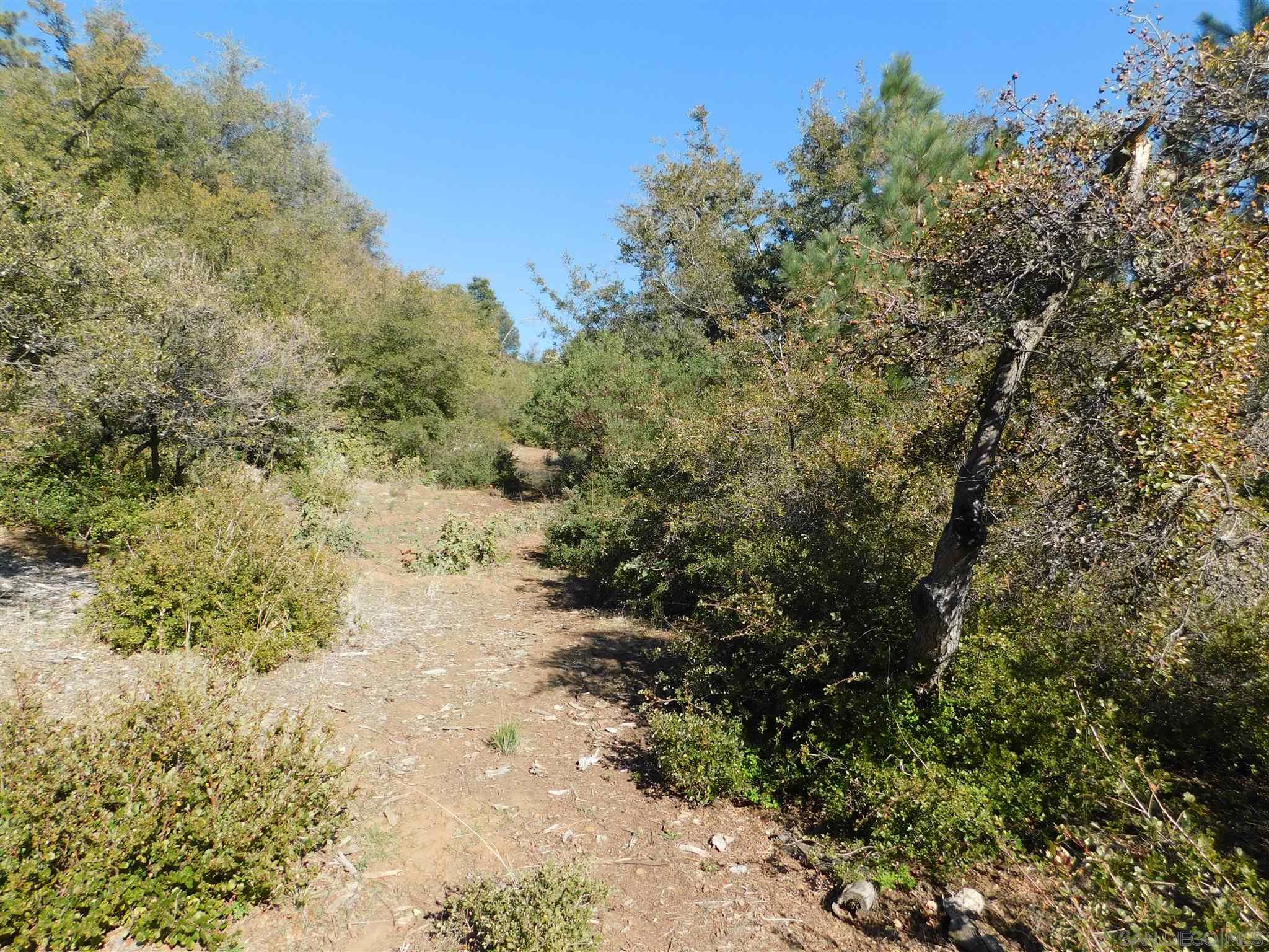 1 Pine Hills Road Julian, CA 92036 - Photo 12 of 19 Gallery Image 12