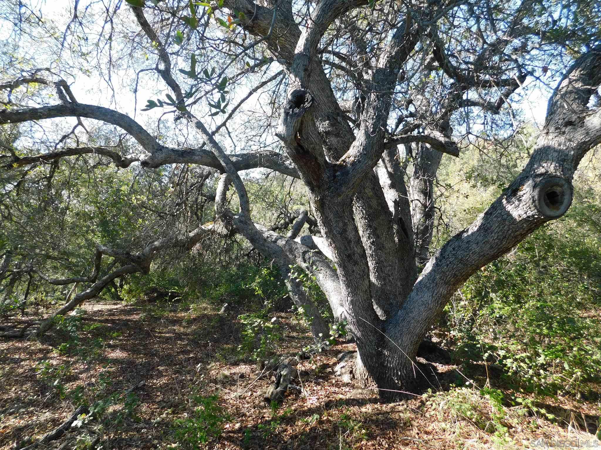 1 Pine Hills Road Julian, CA 92036 - Photo 13 of 19 Gallery Image 13