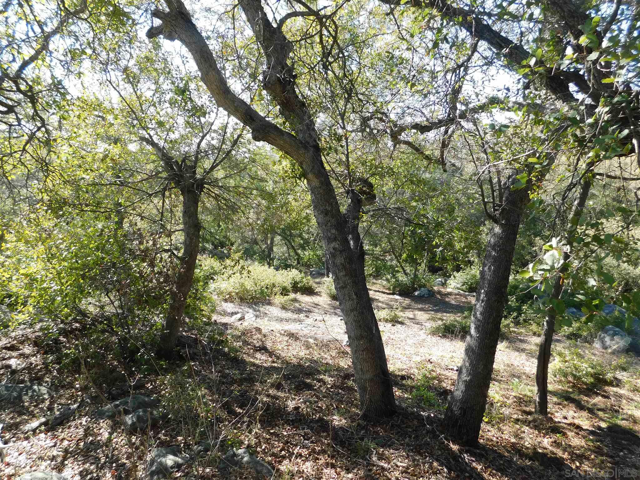 1 Pine Hills Road Julian, CA 92036 - Photo 15 of 19 Gallery Image 15