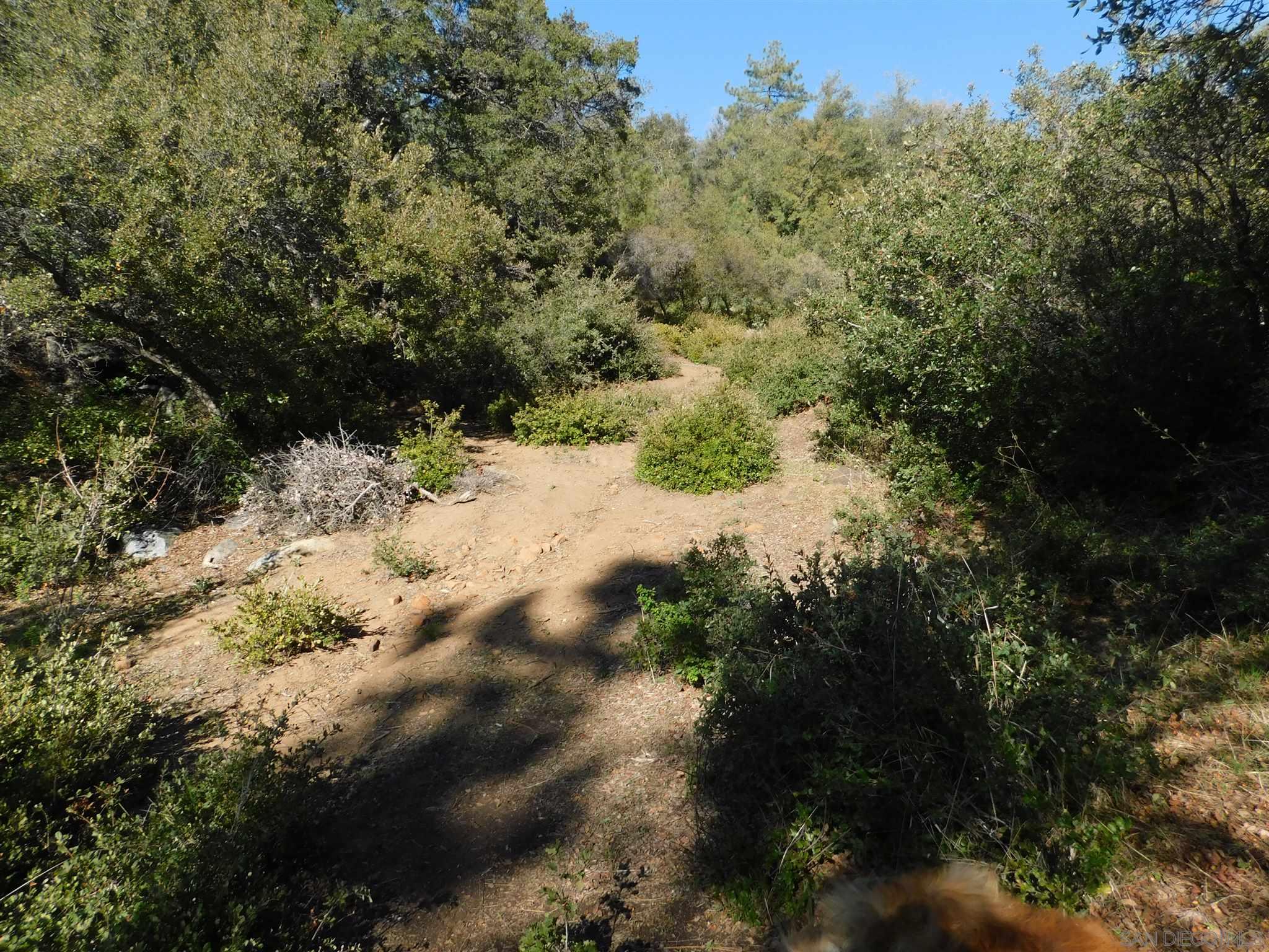1 Pine Hills Road Julian, CA 92036 - Photo 16 of 19 Gallery Image 16