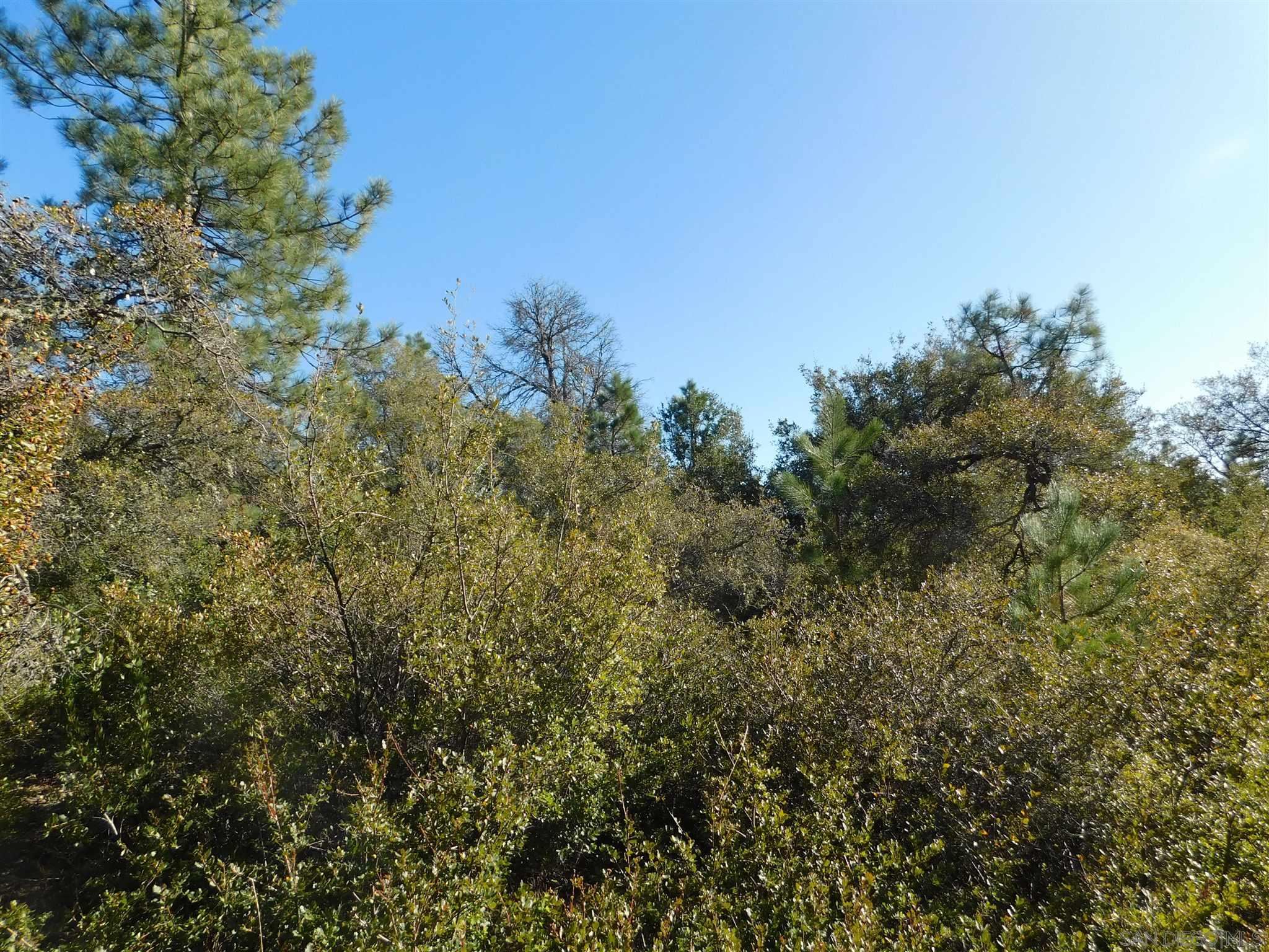 1 Pine Hills Road Julian, CA 92036 - Photo 18 of 19 Gallery Image 18