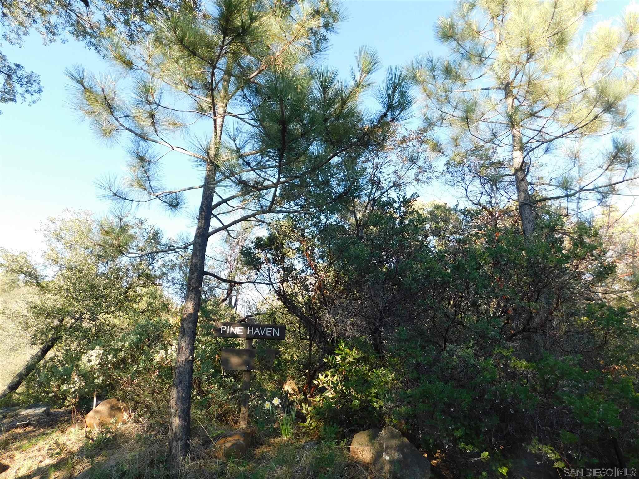 1 Pine Hills Road Julian, CA 92036 - Photo 3 of 19 Gallery Image 3
